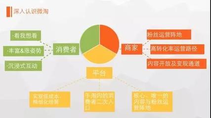 微淘運(yùn)營(yíng)全攻略 如何將公域流量轉(zhuǎn)化為私域增長(zhǎng)新引擎？